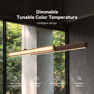 Alexander Linear Suspension