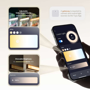 Alexander Linear Suspension