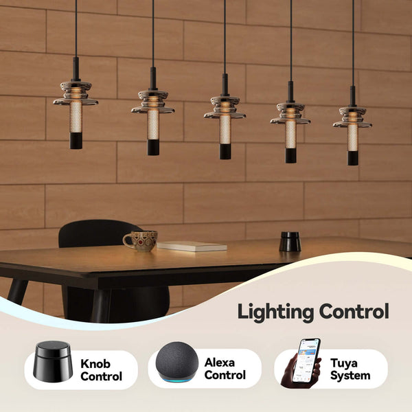 Dancer Island Pendants