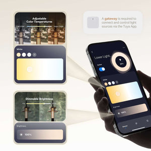 Dancer Island Pendants