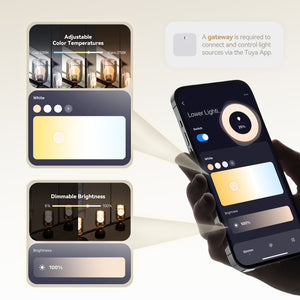 Dawn Island Pendants