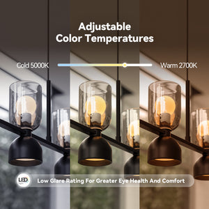 Dawn Island Pendants