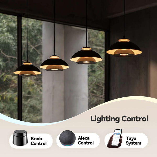 Nokta Island Pendants