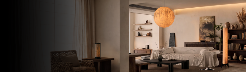 Organic Contemporary Ideas for the Living Room