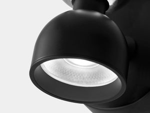 Dawn Wall Sconce