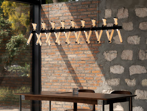 Astra Linear Suspension