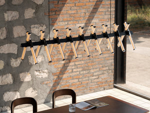 Astra Linear Suspension