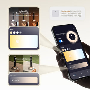 Amber Island Pendants