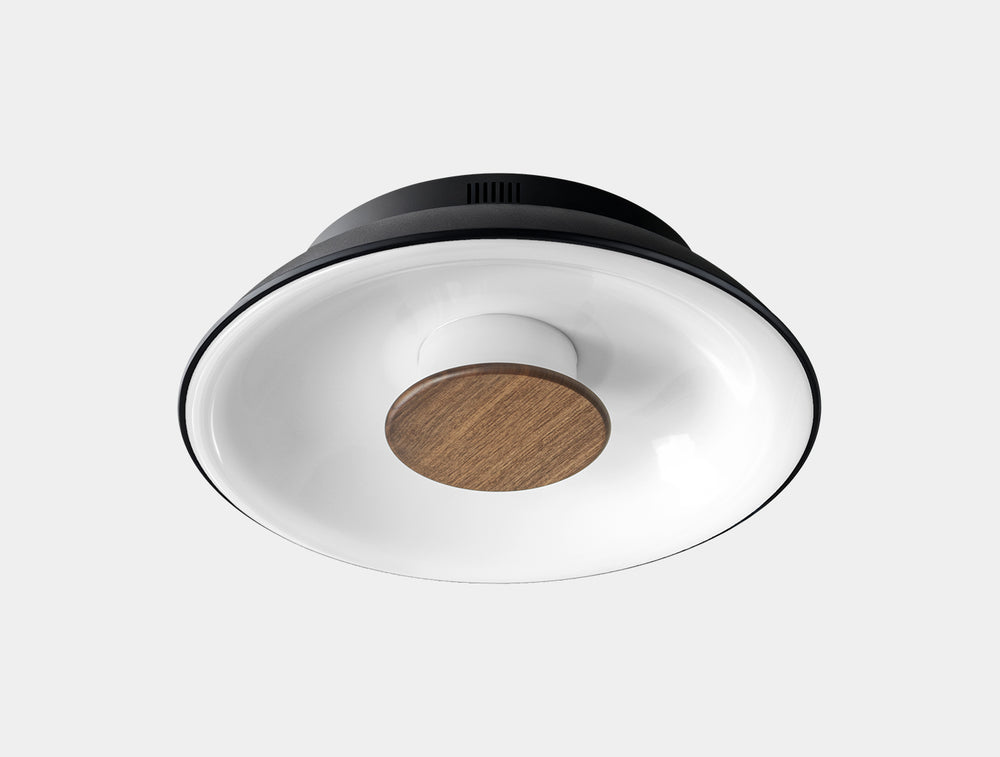 Brielle Flush mount