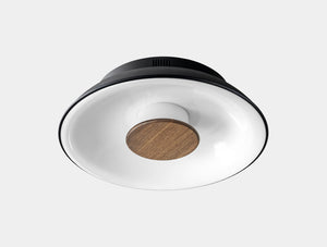 Brielle Flush Mount