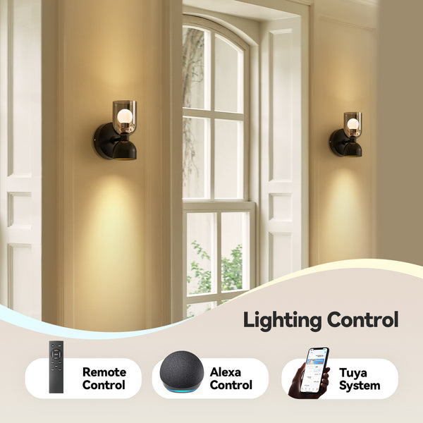 Dawn Wall Sconce