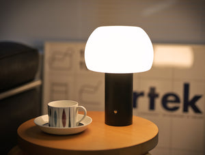 Mushroom Table Lamp