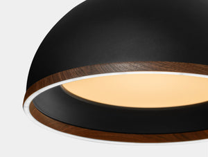 Naire Pendant
