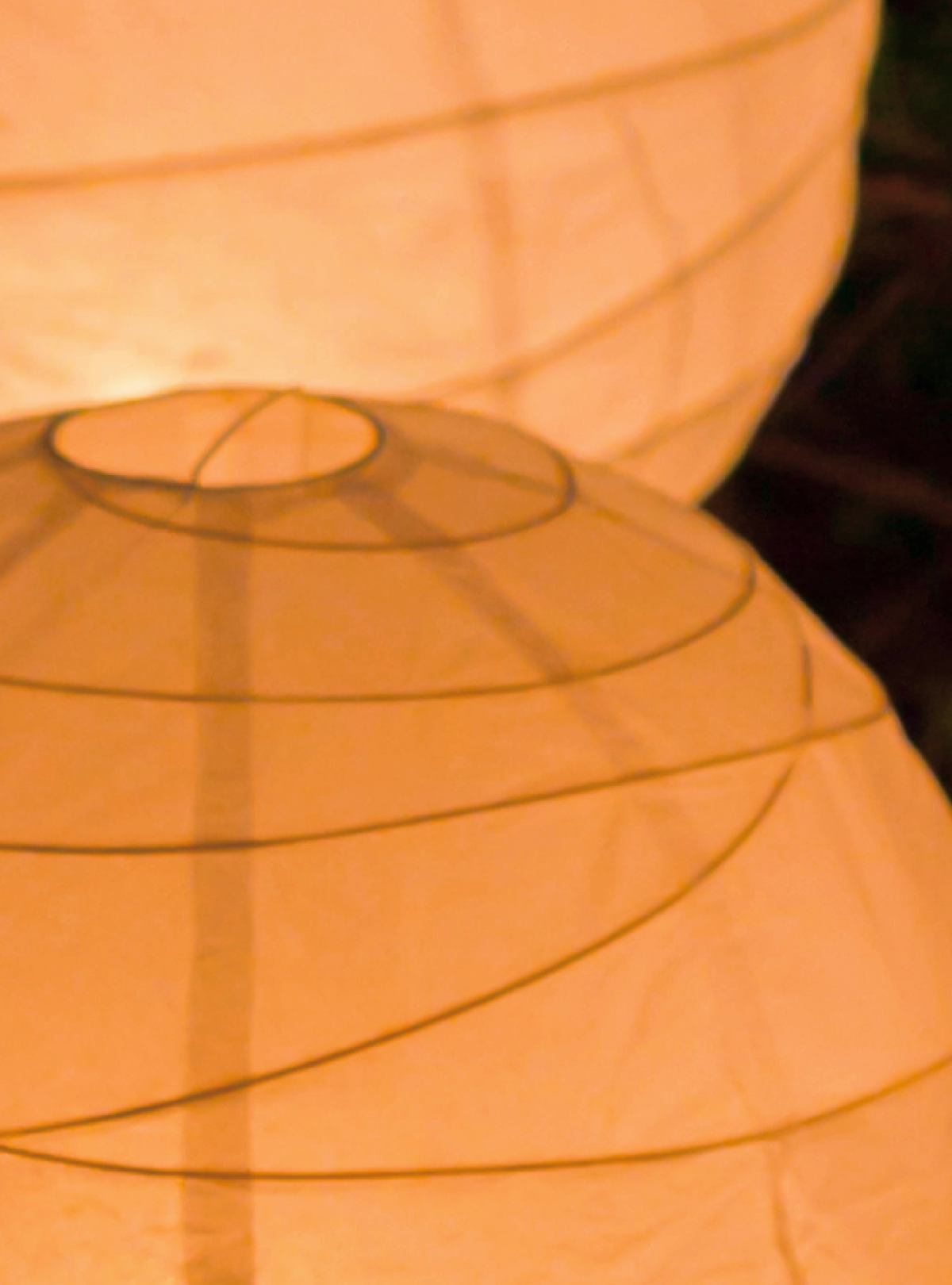 / Rice Paper