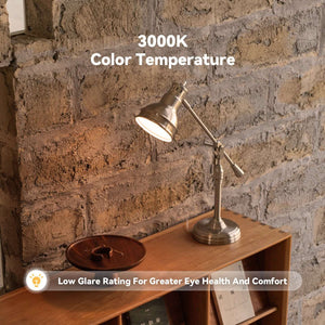 Rodinia Table Lamp