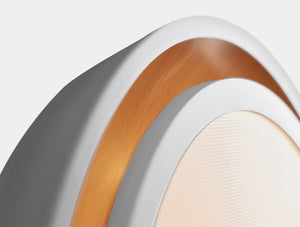 Shelley Flush Mount
