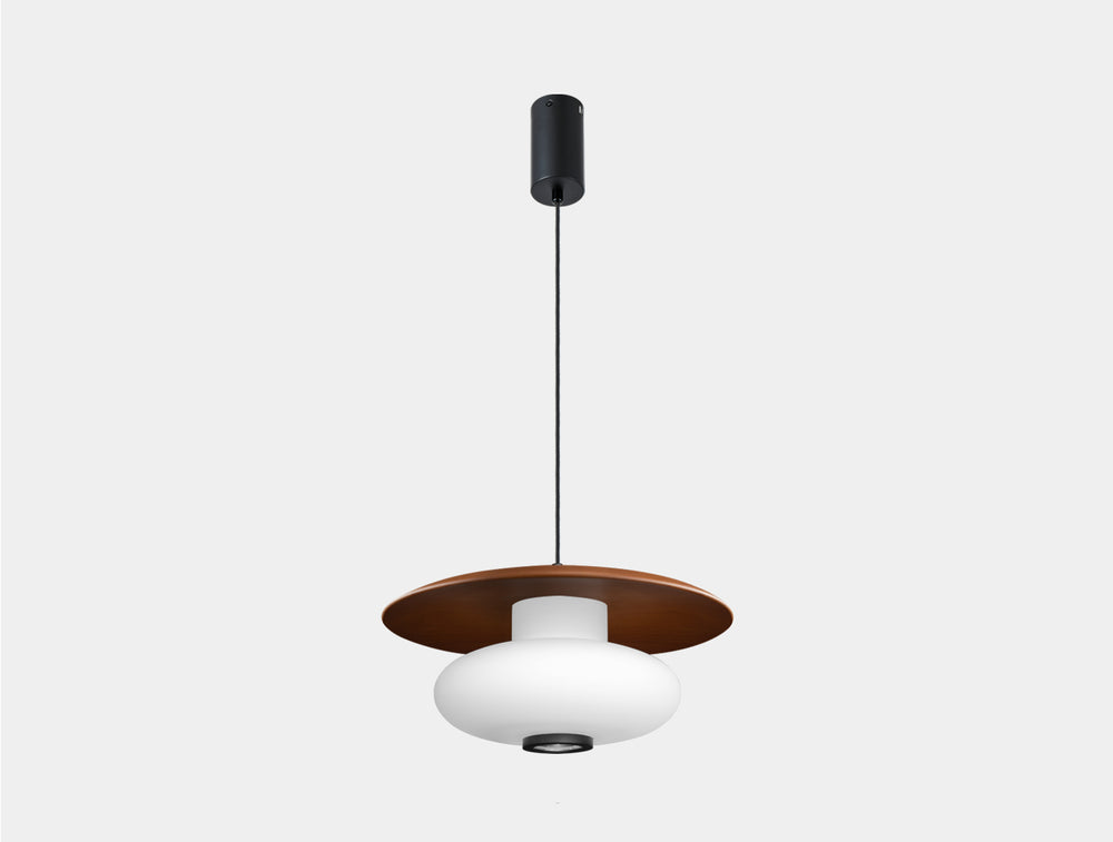 Villus Pendant